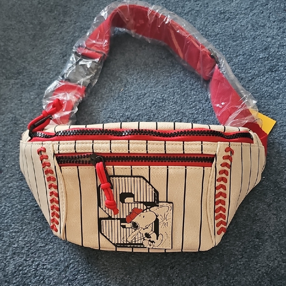 Striped Waist Bag with Red Accents
